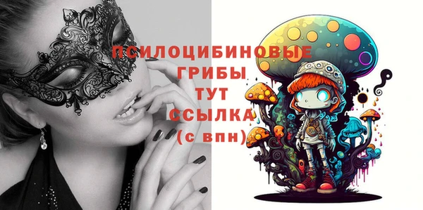 шишки Абдулино