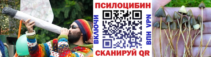 Псилоцибиновые грибы Magic Shrooms  Сергач 